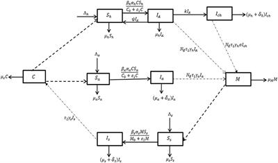 On the mathematical modeling of schistosomiasis transmission dynamics with heterogeneous intermediate host